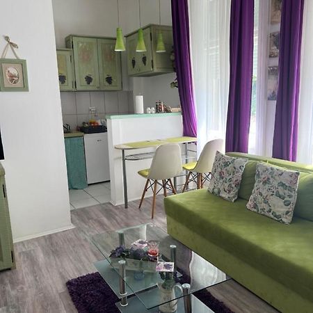 Center Cosy Vintage Apartment Novi Sad Exterior foto